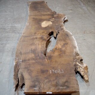 Caucasian Walnut, table top, approx. 4700 x 1250 x 80 mm, 13683