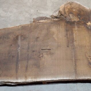 Caucasian Walnut, table top, approx. 4700 x 1250 x 80 mm, 13683