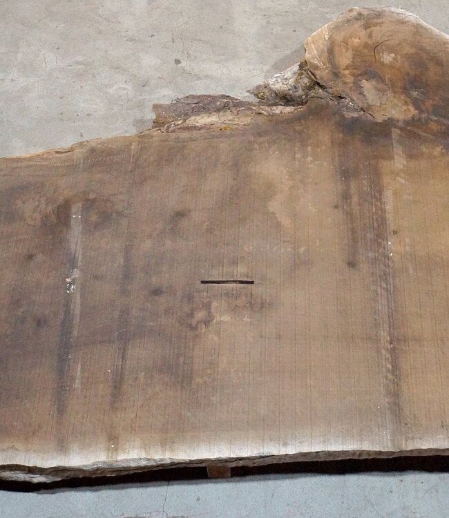 Kaukasischer Nussbaum, Tischplatte, ca. 4700 x 1250 x 80 mm, 13683