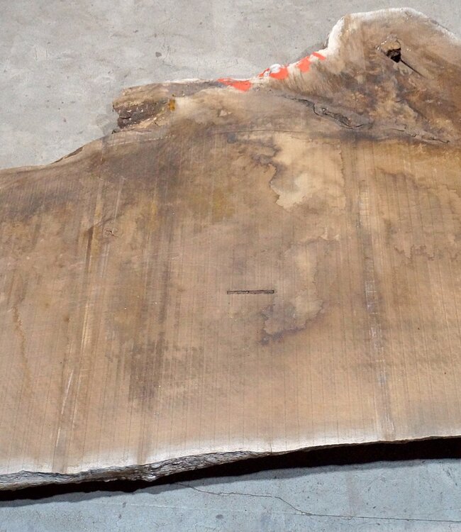 Caucasian Walnut, table top, approx. 4700 x 1150 x 80 mm, 13682