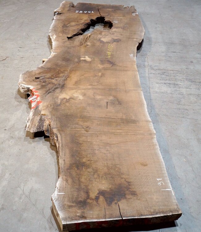 Kaukasischer Nussbaum, Tischplatte, ca. 4700 x 1150 x 80 mm, 13682