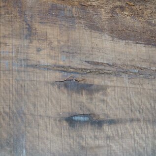 Caucasian Walnut, table top, approx. 4700 x 1120 x 80 mm, 13681
