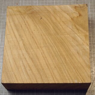 Kaukasische Rüster, ca. 207 x 207 x 66mm, 1,62kg