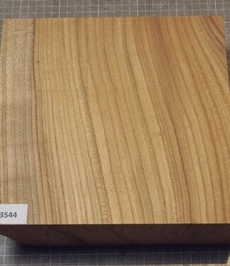 Kaukasische Rüster, ca. 254 x 254 x 64mm, 2,16kg