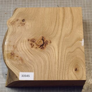 Caucasian Elm, approx. 222 x 225 x 71mm, 1,68kg