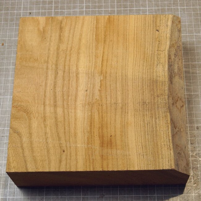 Caucasian Elm, approx.  228 x 226 x 72mm, 1,76kg