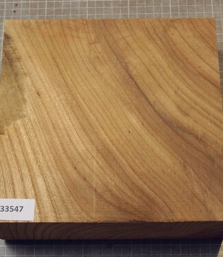 Caucasian Elm, approx.  227 x 225 x 63mm, 1,68kg