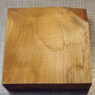 Caucasian Elm, approx.  227 x 225 x 63mm, 1,68kg