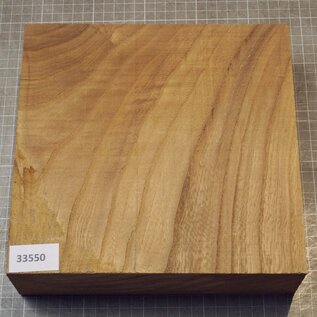 Kaukasische Rüster, ca. 230 x 223 x 65mm, 1,92kg