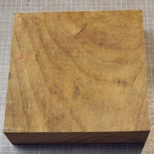 Kaukasische Rüster, ca. 230 x 223 x 65mm, 1,92kg