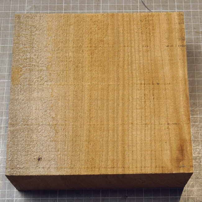 Caucasian Elm, approx.  195 x 193 x 71mm, 1,38kg