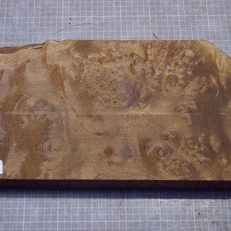 Golden Madrone burl, approx. 395 x 225 x 45mm, 3,18kg