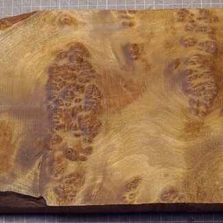 Golden Madrone burl, approx. 385 x 195 x 36mm, 2,48kg