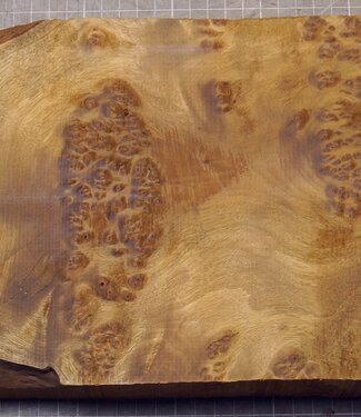 Golden Madrone Maser, ca. 385 x 195 x 36mm, 2,48kg