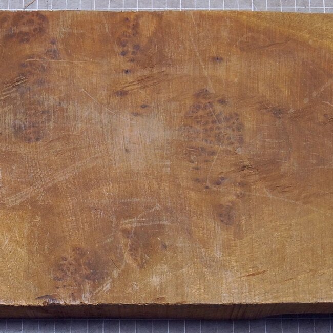 Golden Madrone burl, approx. 385 x 195 x 36mm, 2,48kg