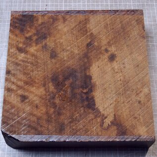 Kaukasischer Nussbaum, ca. 257 x 254 x 60-62mm, 2,74kg