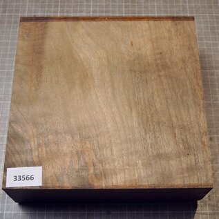 Kaukasischer Nussbaum, ca. 225 x 225 x 28-67mm, 1,82kg