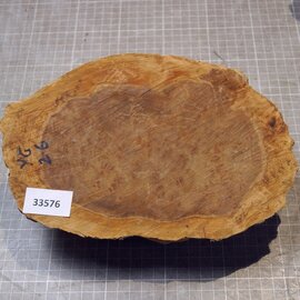 Goldfield Burl knot, approx. 245 x 160 x 80mm, 1,58kg