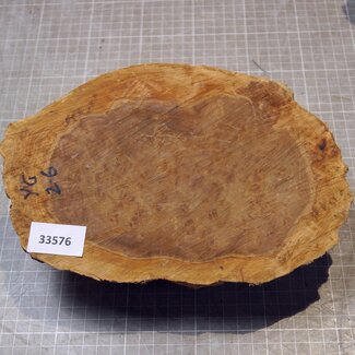 Goldfield Burl knot, approx. 245 x 160 x 80mm, 1,58kg