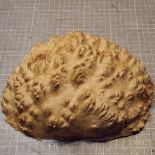 Goldfield Maser Knolle, ca. 245 x 160 x 80mm, 1,58kg