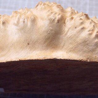 Goldfield Maser Knolle, ca. 245 x 160 x 80mm, 1,58kg