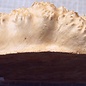 Goldfield Burl knot, approx. 245 x 160 x 80mm, 1,58kg