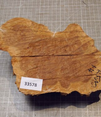 Goldfield Burl knot, approx. 210 x 120 x 55mm, 0,76kg