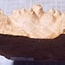 Goldfield Burl knot, approx. 210 x 120 x 55mm, 0,76kg