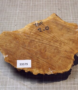 Goldfield Burl knot, approx. 230 x 160 x 65mm, 1,3kg