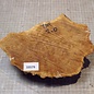 Goldfield Maser Knolle, ca. 230 x 160 x 65mm, 1,3kg