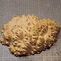 Goldfield Burl knot, approx. 230 x 160 x 65mm, 1,3kg