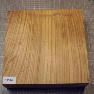 Caucasian Elm, approx. 258 x 257 x 68mm, 2,62kg