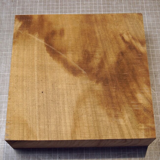 Caucasian Elm, approx. 258 x 257 x 68mm, 2,62kg