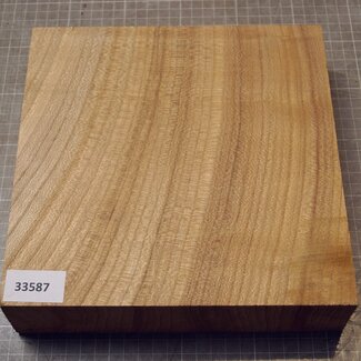 Caucasian Elm, approx. 224 x 225 x 58mm, 1,58kg
