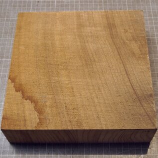 Kaukasische Rüster, ca. 224 x 225 x 58mm, 1,58kg