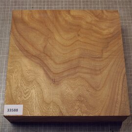 Caucasian Elm, approx. 256 x 256 x 69mm, 2,36kg