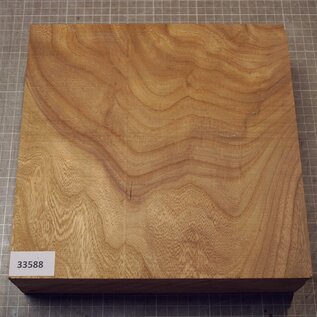 Caucasian Elm, approx. 256 x 256 x 69mm, 2,36kg