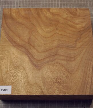 Caucasian Elm, approx. 256 x 256 x 69mm, 2,36kg