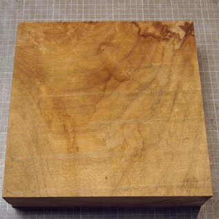 Caucasian Elm, approx. 256 x 256 x 69mm, 2,36kg
