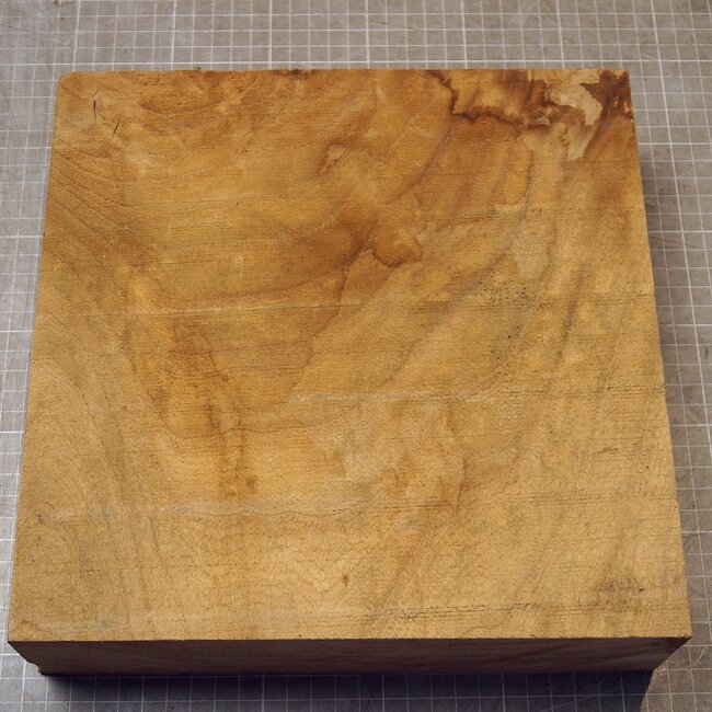 Caucasian Elm, approx. 256 x 256 x 69mm, 2,36kg