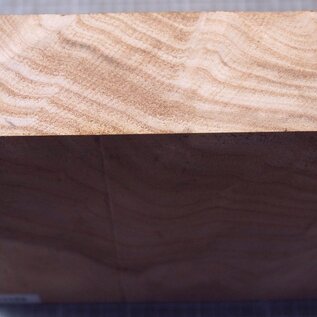 Caucasian Elm, approx. 256 x 256 x 69mm, 2,36kg