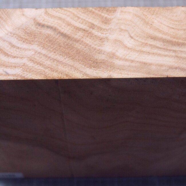 Caucasian Elm, approx. 256 x 256 x 69mm, 2,36kg