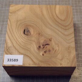 Caucasian Elm, approx. 150 x 155 x 70mm, 1,04kg