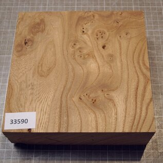 Caucasian Elm, approx. 184 x 182 x 61mm, 1,22kg