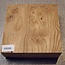 Caucasian Elm, approx. 184 x 182 x 61mm, 1,22kg