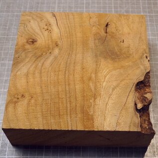 Caucasian Elm, approx. 184 x 182 x 61mm, 1,22kg