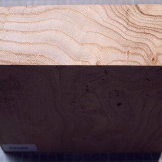 Caucasian Elm, approx. 184 x 182 x 61mm, 1,22kg