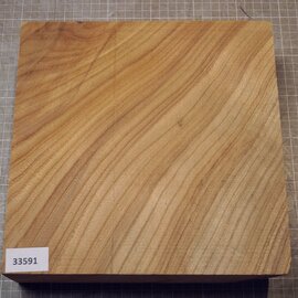 Caucasian Elm, approx. 259 x 257 x 67mm, 2,22kg