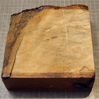 Ahorn, RIEGELAHORN, ca. 161 x 162 x 55mm, 1,24kg