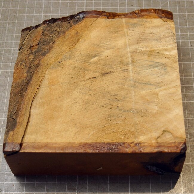 Ahorn, RIEGELAHORN, ca. 161 x 162 x 55mm, 1,24kg